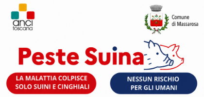 Peste Suina, raccomandazioni per chi va nei boschi 