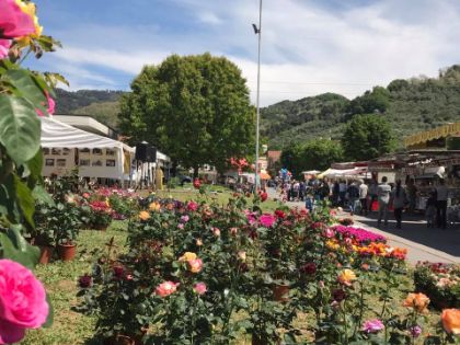 Torna la Mostra Agrozootecnica due giorni di eventi a Massarosa