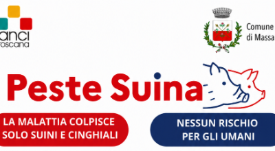 SCHEDA INFORMATIVA peste suina